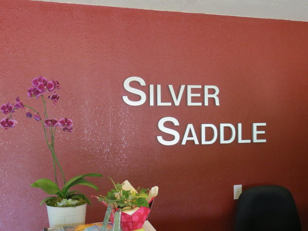 Silver Saddle Motel 马尼温泉 外观 照片